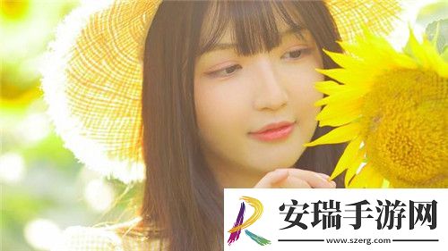 浏览器直接进入网站的注意事项