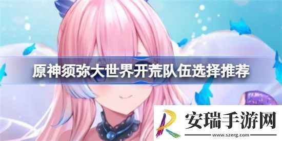 原神须弥大世界开荒队伍怎么搭配