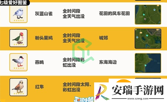 心动小镇观鸟图鉴有哪些