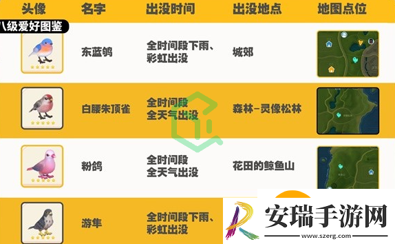 心动小镇观鸟图鉴有哪些