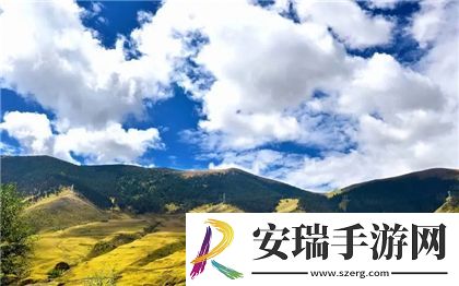 妄想山海染料配方大全