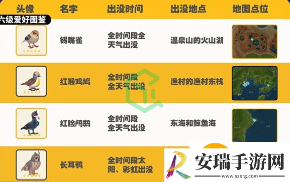 心动小镇观鸟图鉴有哪些