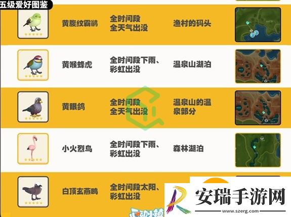 心动小镇观鸟图鉴有哪些