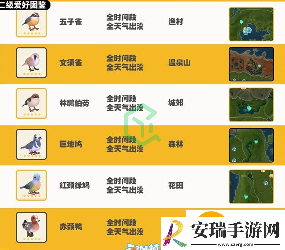 心动小镇观鸟图鉴有哪些