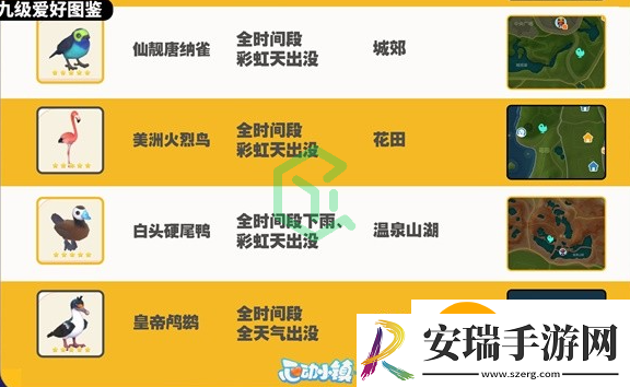 心动小镇观鸟图鉴有哪些