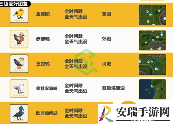 心动小镇观鸟图鉴有哪些