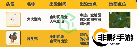 心动小镇观鸟图鉴有哪些
