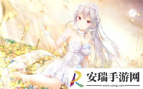 成都私人家庭影院的推荐理由韩国