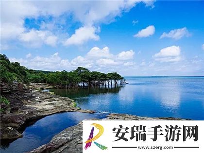 日本三线和韩国三线品牌对比