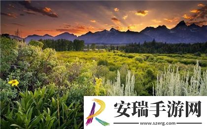 无尺码精品产品有哪些