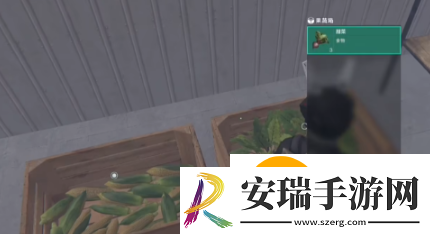 七日世界甜菜怎么获得