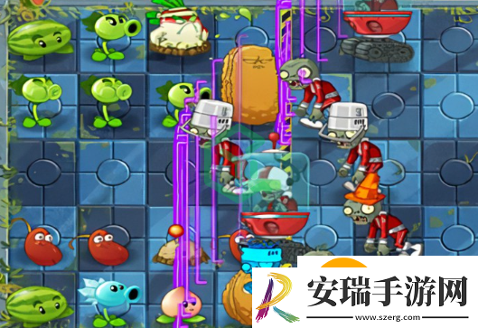 植物大战僵尸杂交版v2.2DX错误怎么办