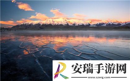 成免费的crm