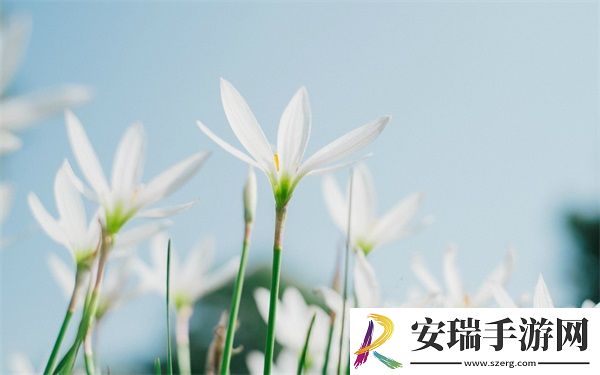 696969大但人文艺术价值