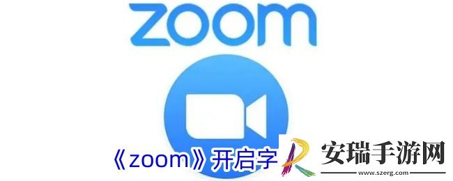 zoom怎么开字幕