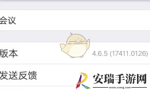 zoom怎么开字幕