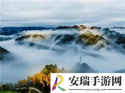 秋水伊人2022黑色毛呢外套
