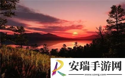 一级成色好的y31s标准版评测