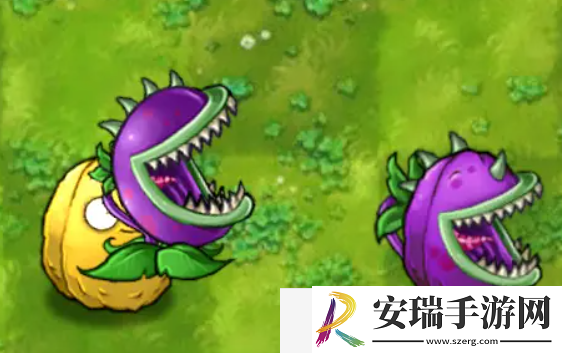 植物大战僵尸融合版存档位置在哪