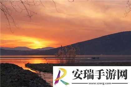 藏宝阁未满十八岁显示