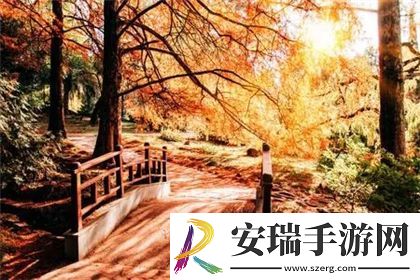 嫦娥狂飙乳液奖励自己一发
