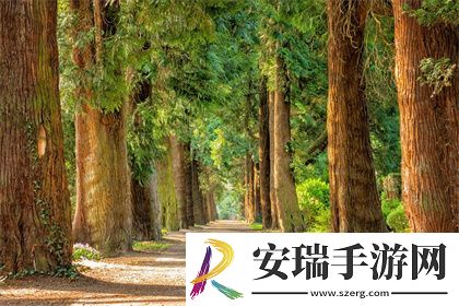 女帝的日常充为官奴之后在哪找