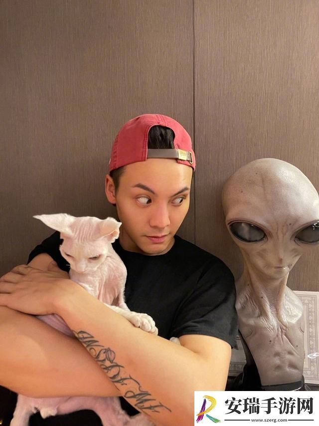 德文卷毛猫多少钱一只