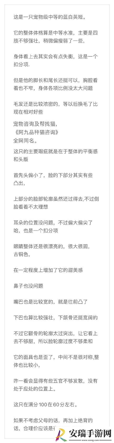 美短起司猫多少钱一只