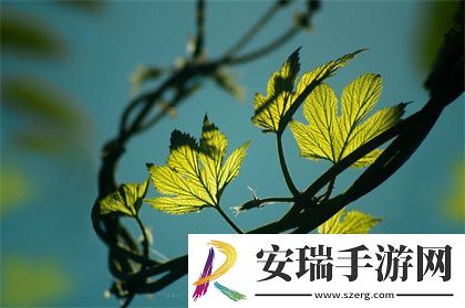 生物老师闵儿用自己给我们讲课