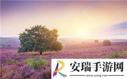都是人情世故第16关妨碍复习怎么过