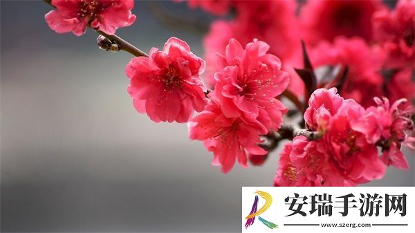 每天都在挨龠
