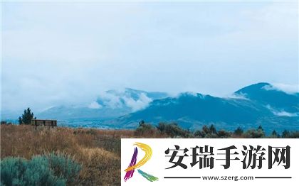 贵族游戏