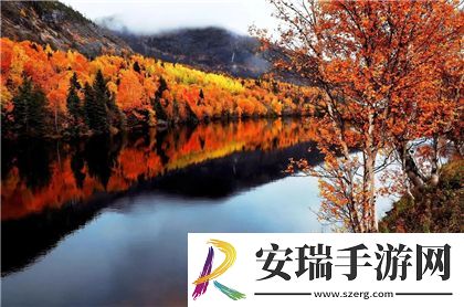 申鹤脸红口吐白沫