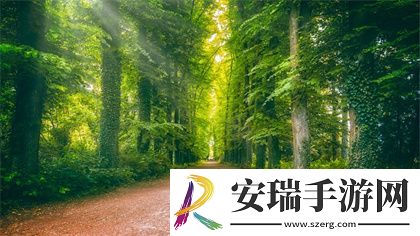 两峰夹小溪地湿又无泥诗小说