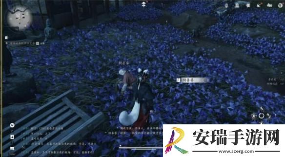 燕云十六声业火不熄任务怎么完成