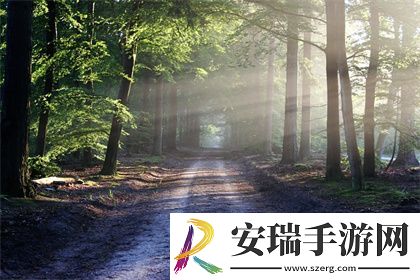 暴躁老姐的CSGO心得分享夫妻