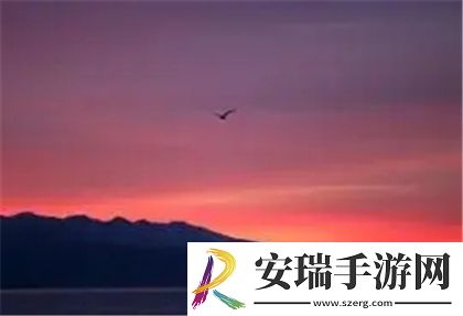我们不合适1V1
