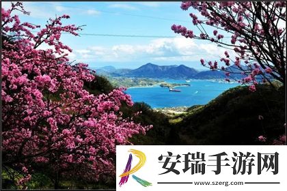 八寸长的大宝贝
