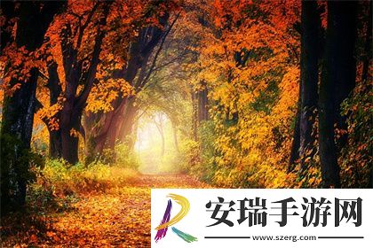 东莞三十六样式图解