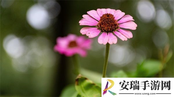 简隋英自己扩充骑马