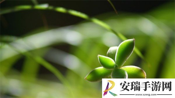 老中医用嘴排阴毒