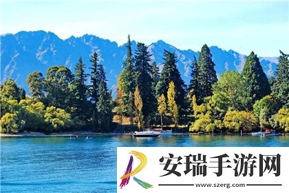 75欧射频线和65欧射频线区别