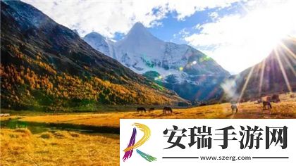 可爱能被破坏结局一怎么达成