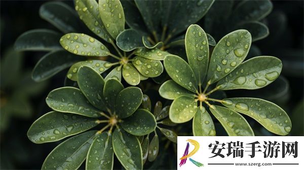 好兄弟当我面给我老婆夹菜正常吗
