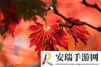 女生到达巅峰时的表现的声音