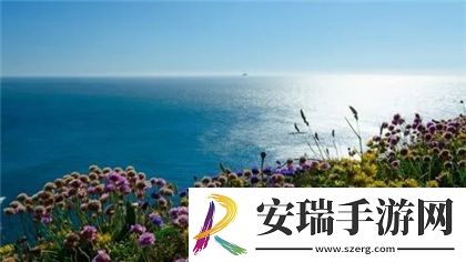 满18点此安全转入2023大象