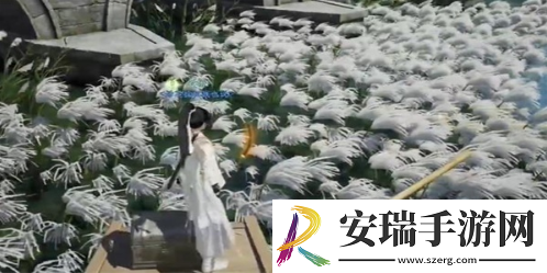 射雕手游梅花肯瓷全收集攻略