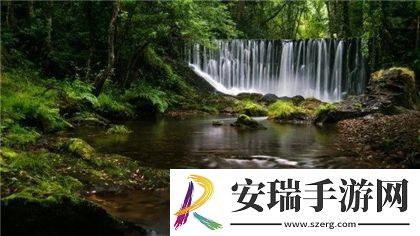成品直播大全观视频的技巧和方法
