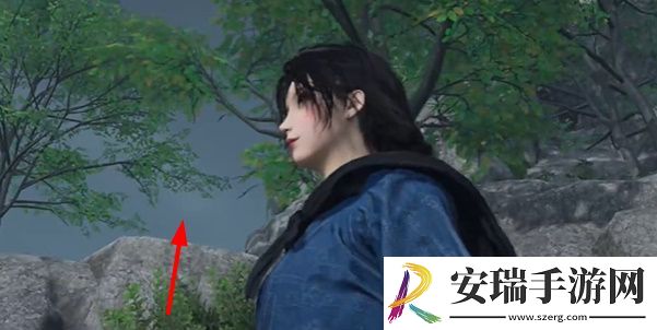 燕云十六声慈心镇不平事无间之地任务怎么完成