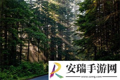 成品网站入口网页版怎样